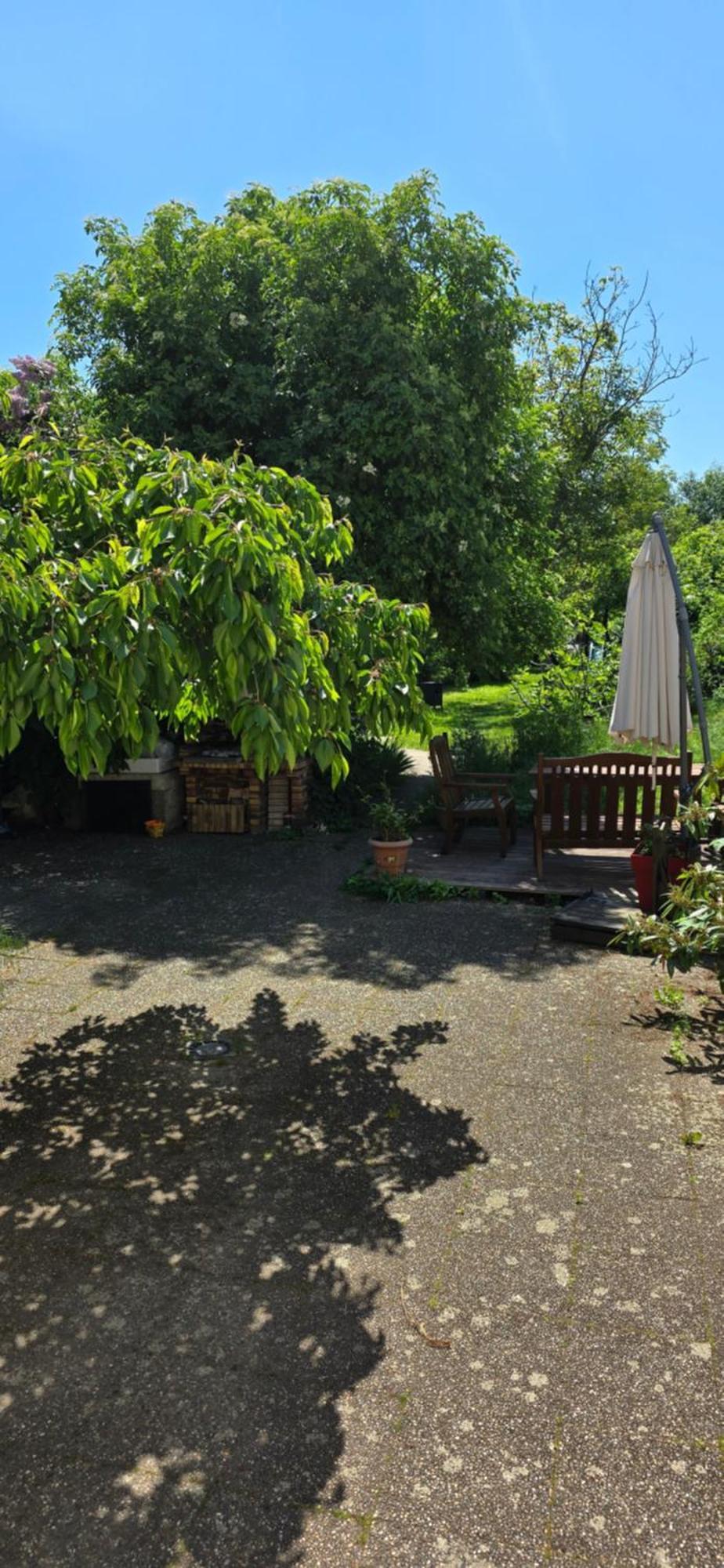 Appartement Avec Jardin A Colmar Zewnętrze zdjęcie